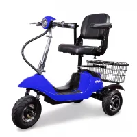 EWheels EW-20 Recreational Scooter